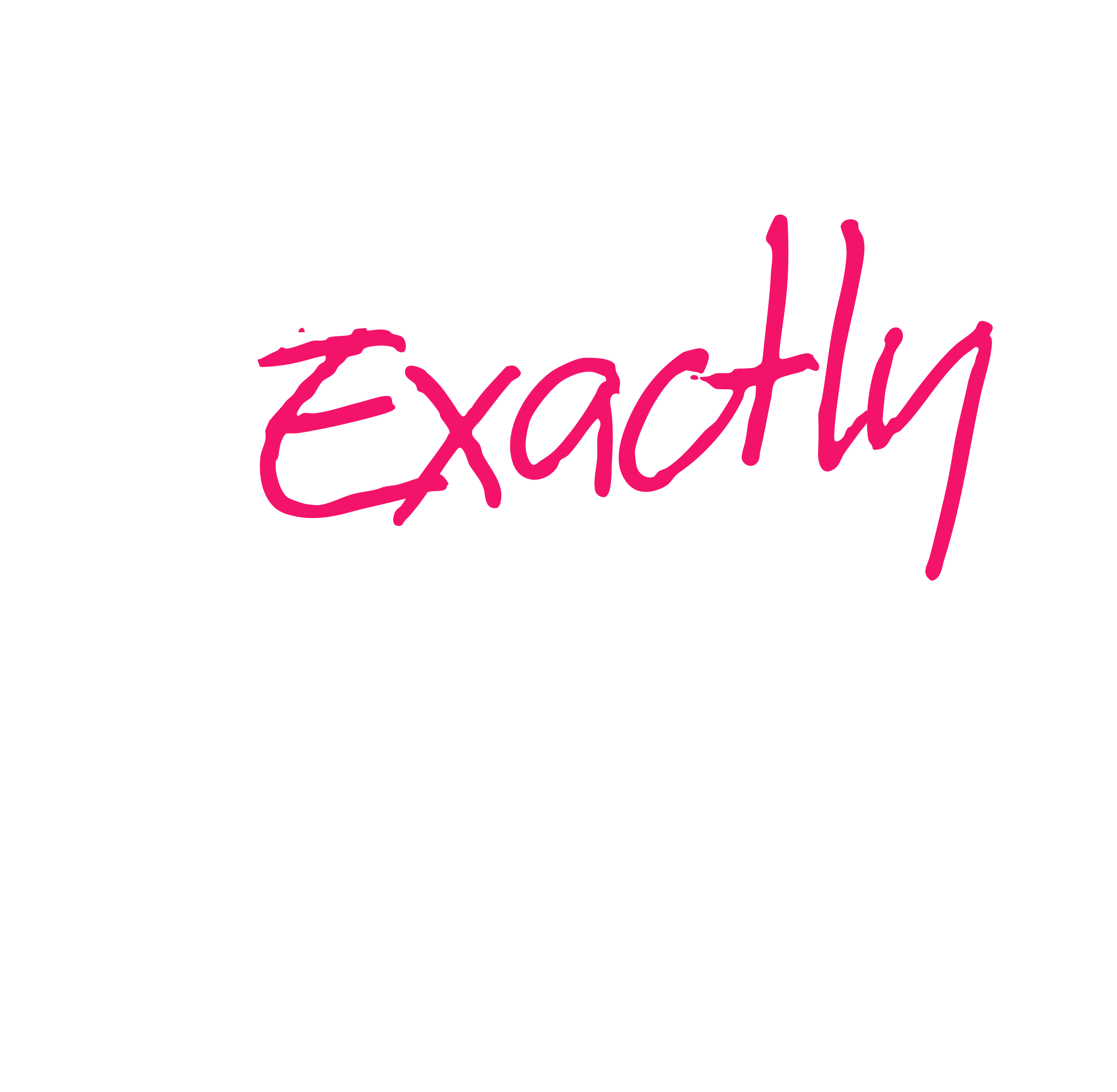 What exactly do we do?